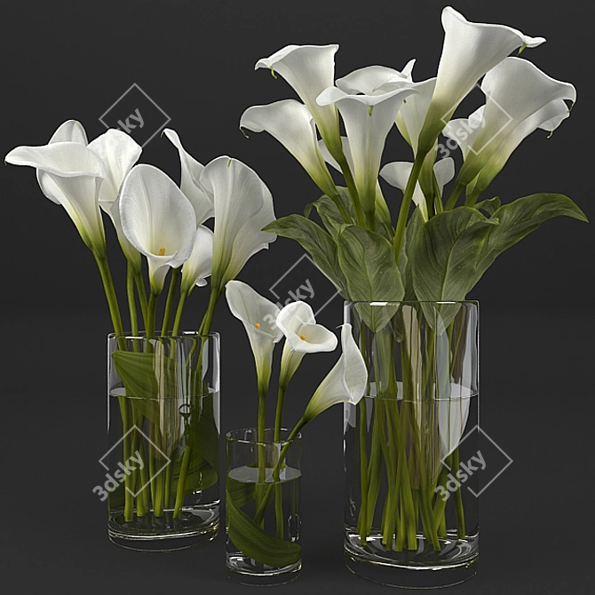 Elegant Calla Lily Bouquets
(Translated from Russian: Элегантные букеты Каллы) 3D model image 1