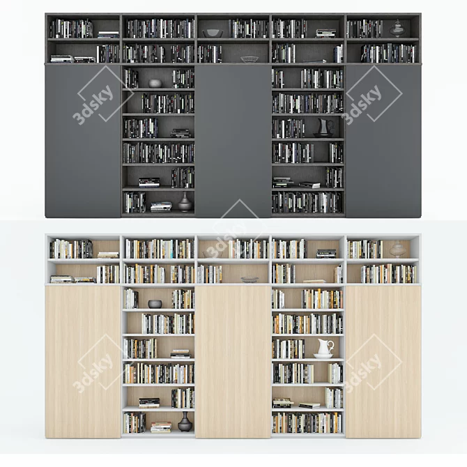 Dual Archive Bookcase 3D model image 1