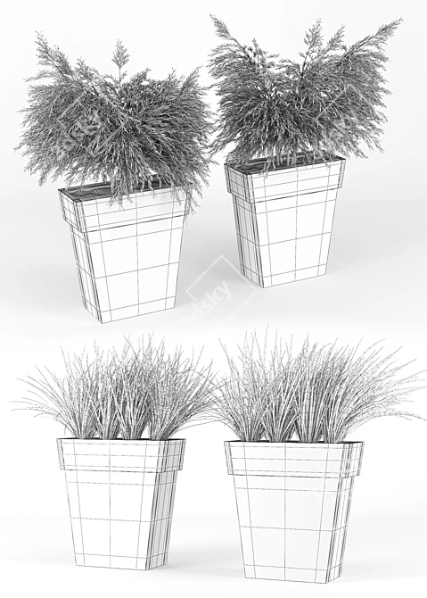 Stylish Outdoor Planter - IL VASO 3D model image 3