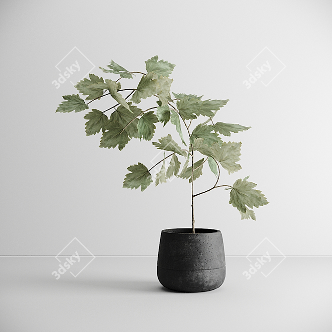 Scandinavian Greenery: Nordic-Style Plant 3D model image 1