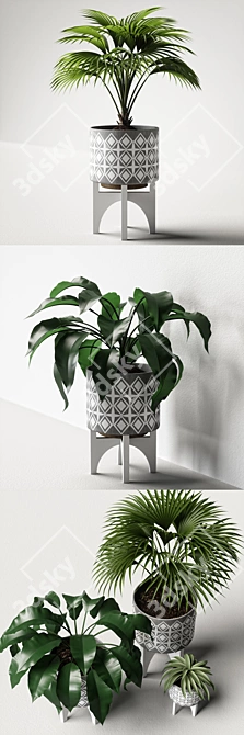 Versatile Plants Set 07: 3D Models for V-Ray and Fstorm 3D model image 2