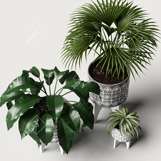 Versatile Plants Set 07: 3D Models for V-Ray and Fstorm 3D model image 4