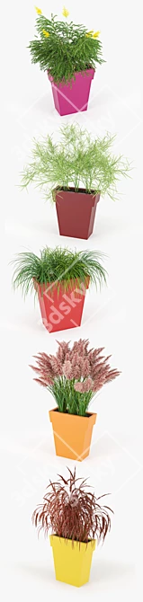 IL VASO Colorful Outdoor Planter 3D model image 2