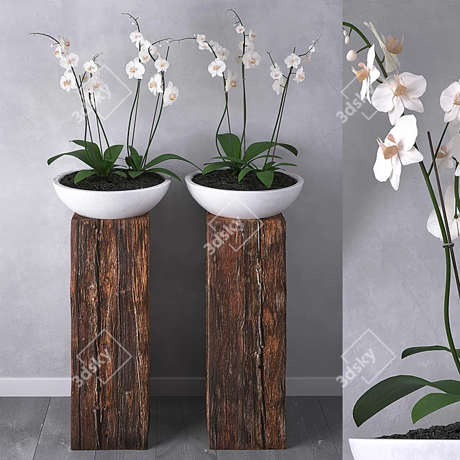 Elegant Orchid Planter Set 3D model image 1