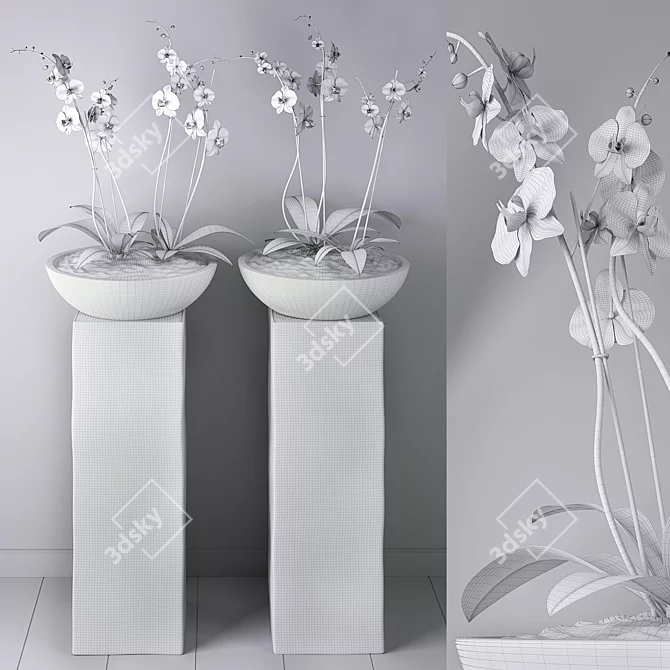 Elegant Orchid Planter Set 3D model image 2