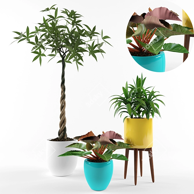 Tropical Palm Garden Plant 3D model image 1