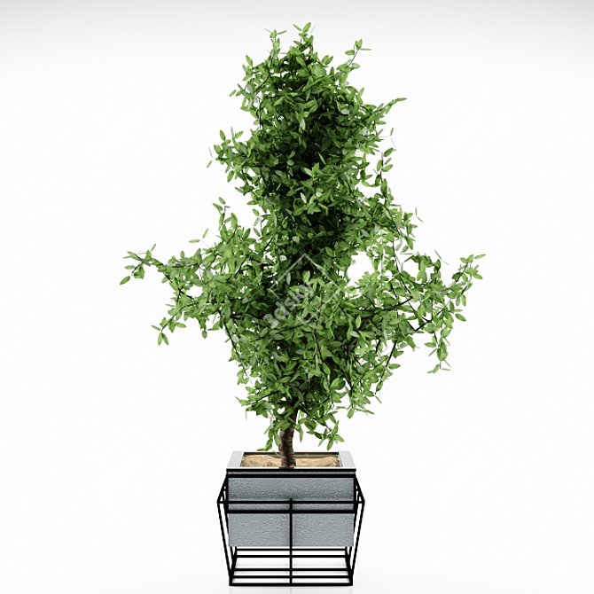 Elegant Plant Pot 3D model image 1