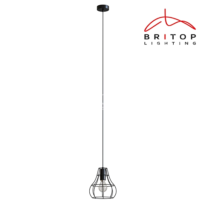 Britop Outline Pendant Light 3D model image 1