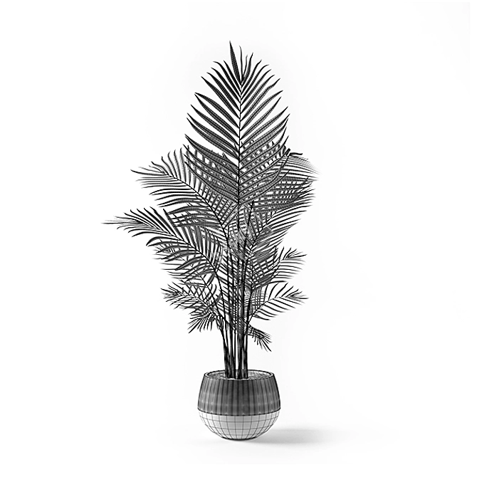 Elegant Kentia Palm: Lifelike Beauty 3D model image 2