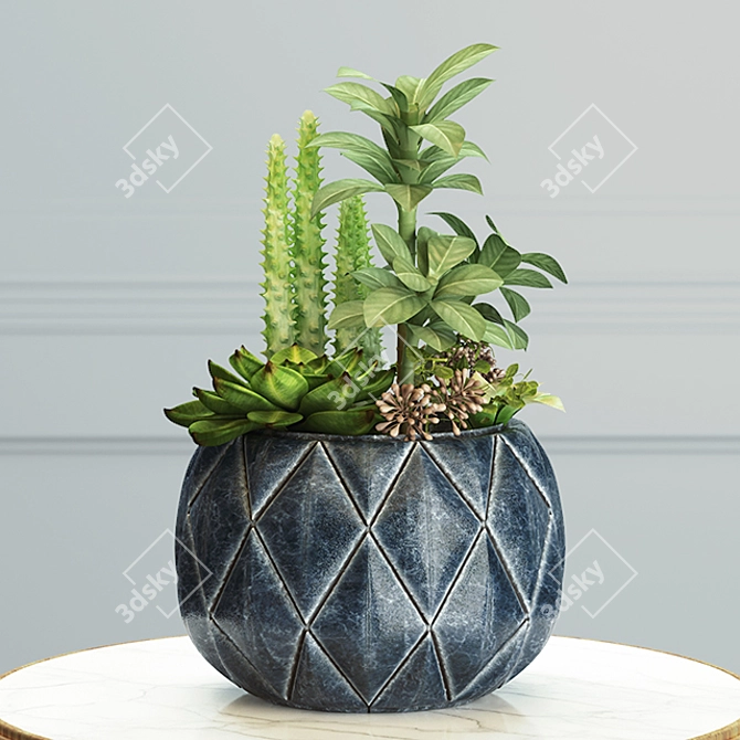 Modern Succulent & Cactus Arrangement 3D model image 1