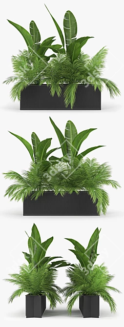 Tropical Palm Plant  Unique 3D Model 3D model image 2