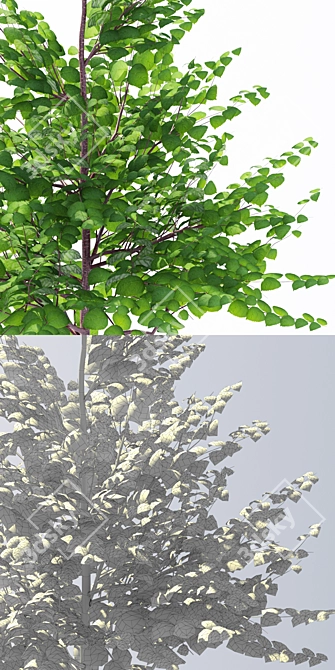 Fresh & Green Young Trees 3D model image 2