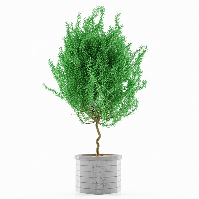 Stylish Plant Pot 3D model image 1