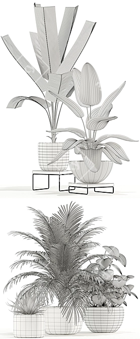 Unique Plant Collection 119 3D model image 3