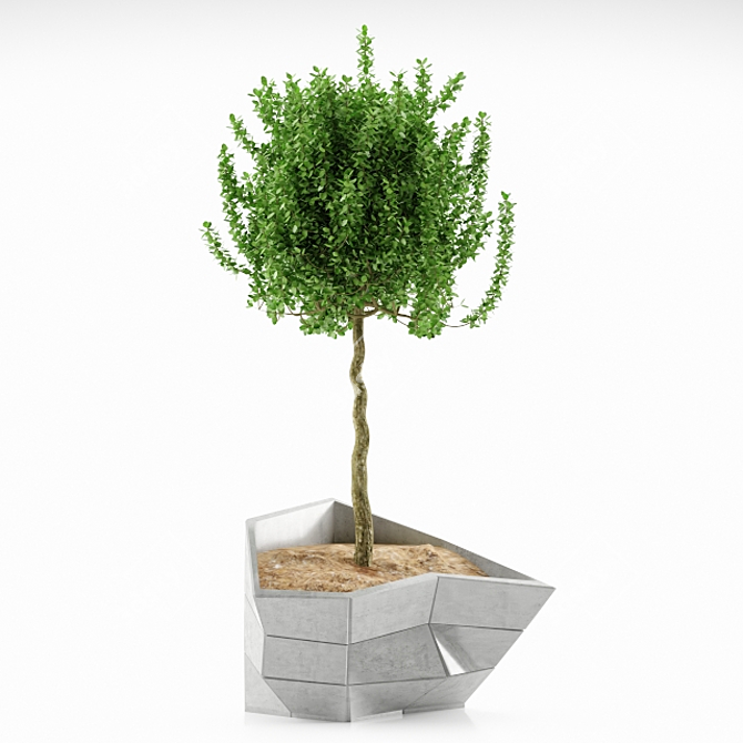 7-Plant Decor: Stylish & Versatile 3D model image 1