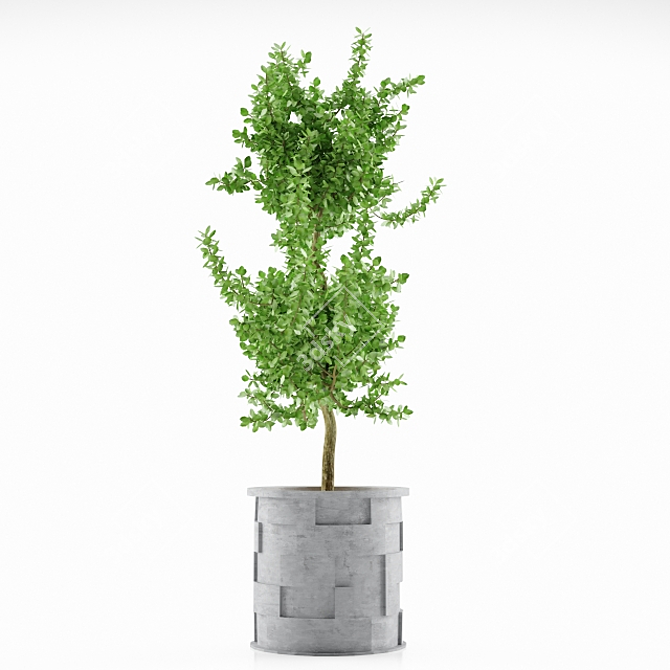 Stylish Decor Planter 3D model image 1