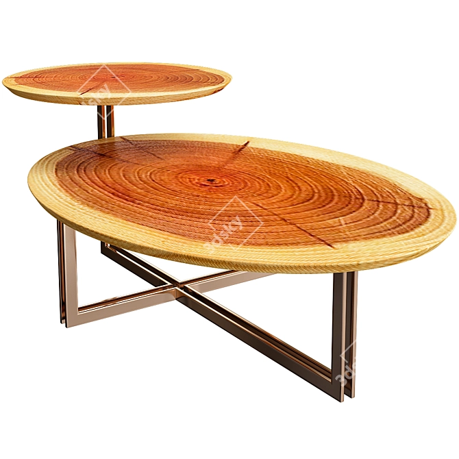 Poesia Bamax Coffee Table: Elegant and Functional 3D model image 1