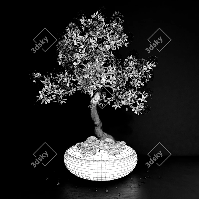 High-performance Ixora coccinea 3D model image 2