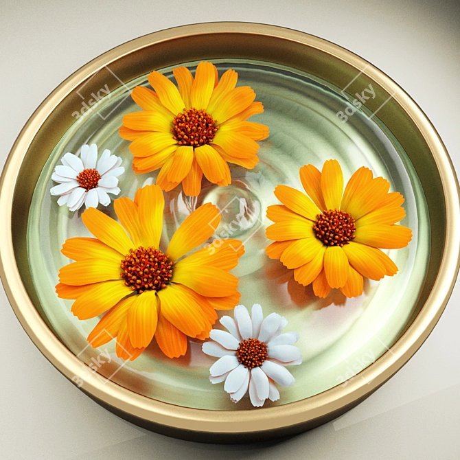 Blooming Beauty: Calendula Flower Set 3D model image 2