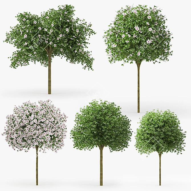 Tropical Hibiscus Tree: Stunning 3D Model 3D model image 1