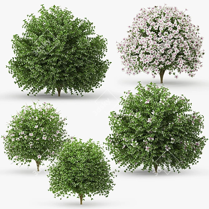 Blooming Hibiscus Bush: 3D Model 3D model image 1