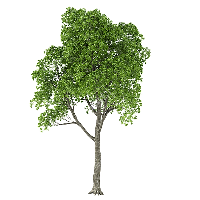 Glowing Tree 10: 3D Model 3D model image 1