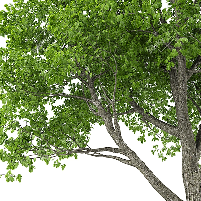 Glowing Tree 10: 3D Model 3D model image 3