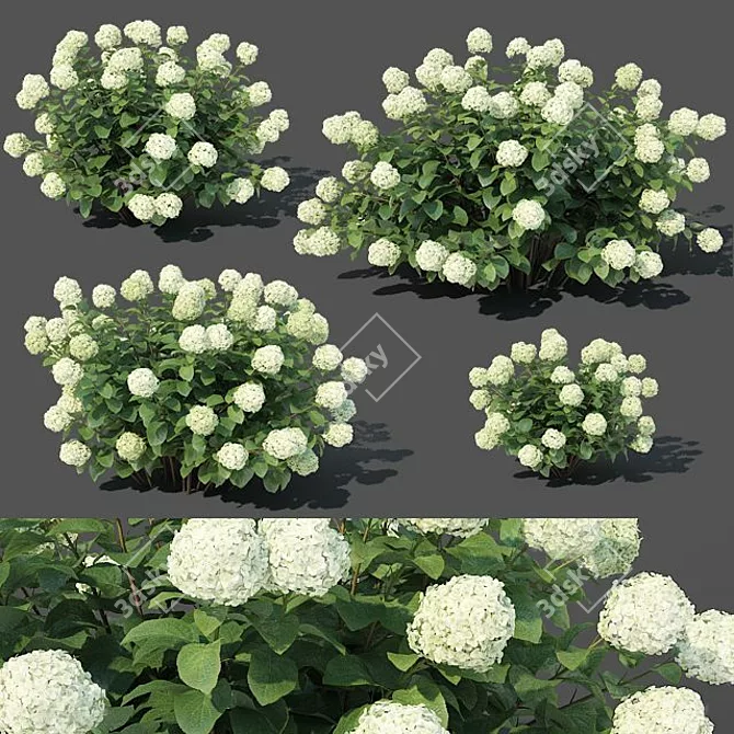 Versatile Hydrangea Arbor #1: 4 Sizes 3D model image 1