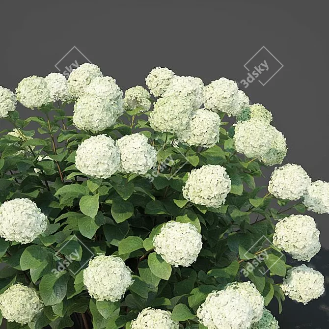 Versatile Hydrangea Arbor #1: 4 Sizes 3D model image 2