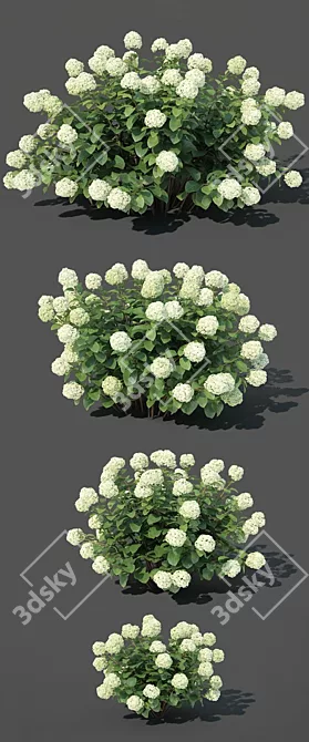 Versatile Hydrangea Arbor #1: 4 Sizes 3D model image 3