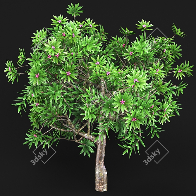 Greenery 3D - 25 Varieties 3D model image 1