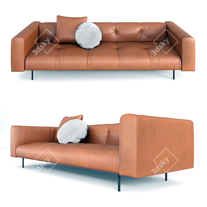 EREI DE PADOVA Elisa Ossino Leather Sofa 3D model image 1