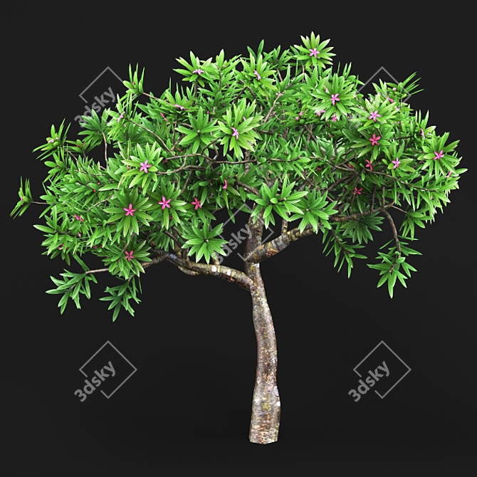 25-K2 Plant: High-Quality Polys & Verts 3D model image 1