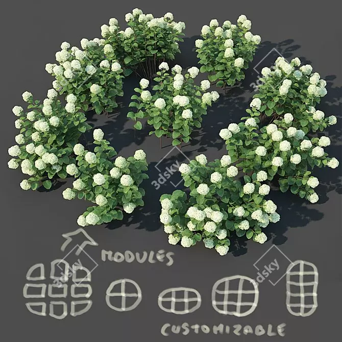 Versatile Hydrangea Arborescens: Customizable Floral Bush 3D model image 1