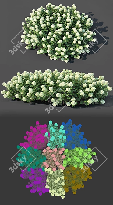 Versatile Hydrangea Arborescens: Customizable Floral Bush 3D model image 2