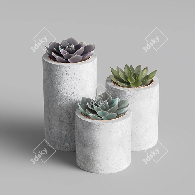 KRAPIVA Succulent Collection - Vibrant & Stylish Potted Plants 3D model image 1