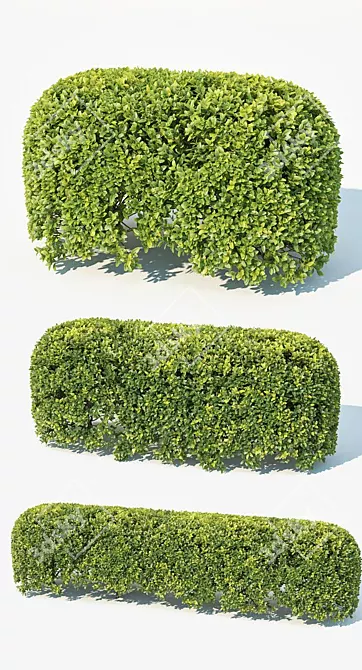 Evergreen Spherical Hedge Module 3D model image 2
