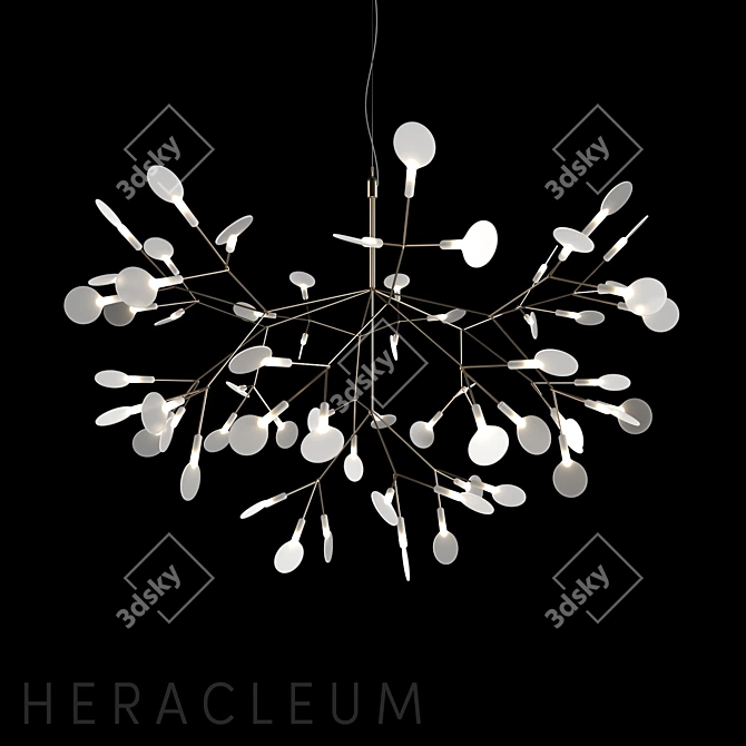 Elegant Heracleum II Chandelier 3D model image 1