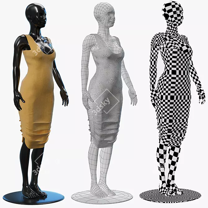 Elegant Mesh Dress 3D model image 3