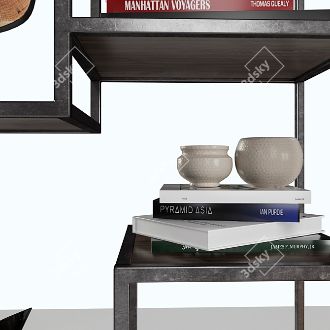 Fashionable Helena Bookcase Set 3D model image 2