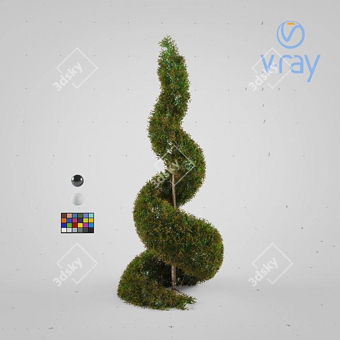 Spiral Cypress Plant: Elegant and Versatile 3D model image 2