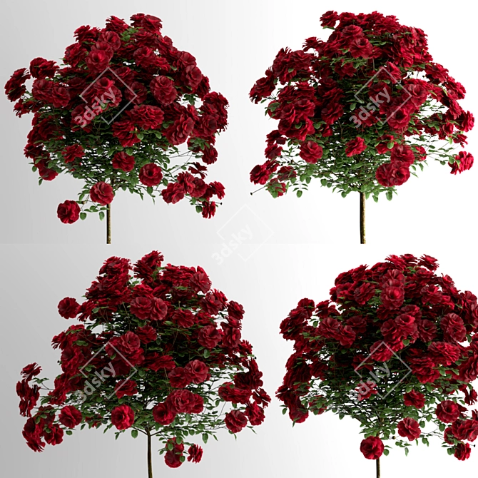  Dazzling Rose Lollipop Trio 3D model image 2