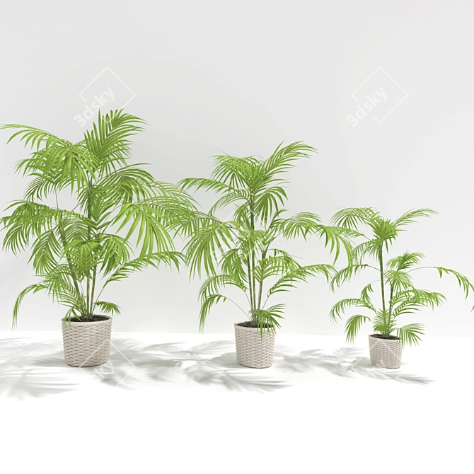 Tropical Bliss Plant Experience 3D model image 1
