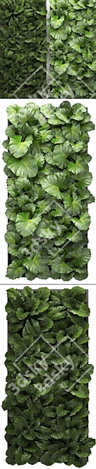 Green Wall Module: Vertical Outdoor Garden 3D model image 2