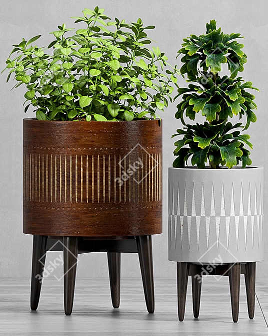 Nature's Oasis: Decorative Plant Set 3D model image 3