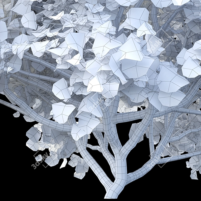 Elegant Palm-Leaf Maple 3D model image 2