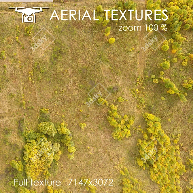 Aerial Exterior Texture 3D model image 2
