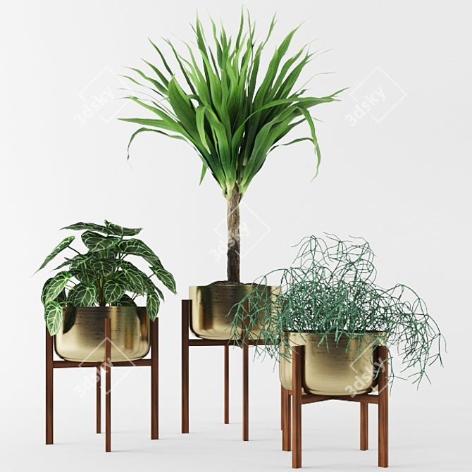 Archived Plants: 3dsmax 2014 + Vray 3.50.04 & FBX.OBJ 3D model image 1