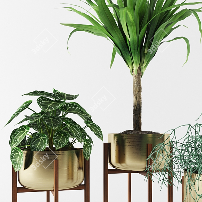 Archived Plants: 3dsmax 2014 + Vray 3.50.04 & FBX.OBJ 3D model image 2