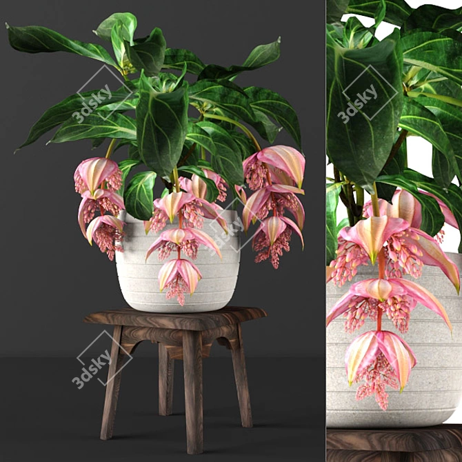 Green Forest Plant Collection 3D model image 1